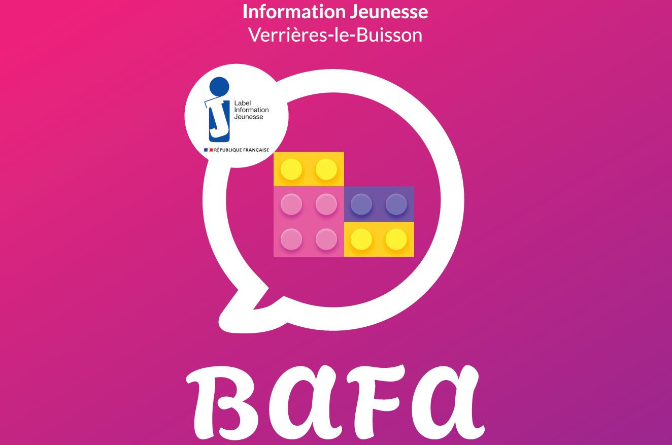 bafa site internet