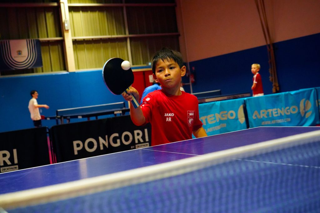 web ping pong dossier sport 51